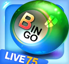 Bingo City Live 75